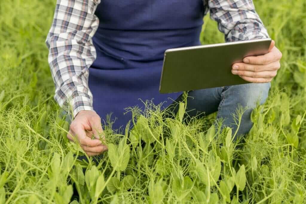 Custom Software Development